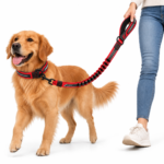 FAVOSIA FlexTrail Hands-Free Walking Leash - Image 2