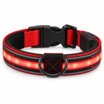 Favosia NightPath High-Visibility Pet Collar