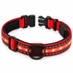 Favosia NightPath High-Visibility Pet Collar - Image 2